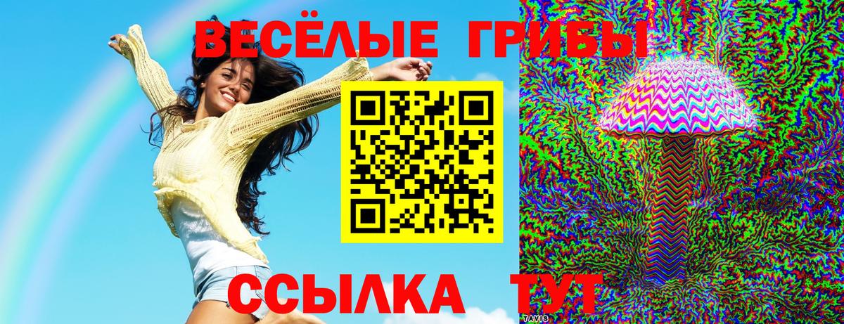 Псилоцибиновые грибы Cubensis  Вход с VPN  Муром 