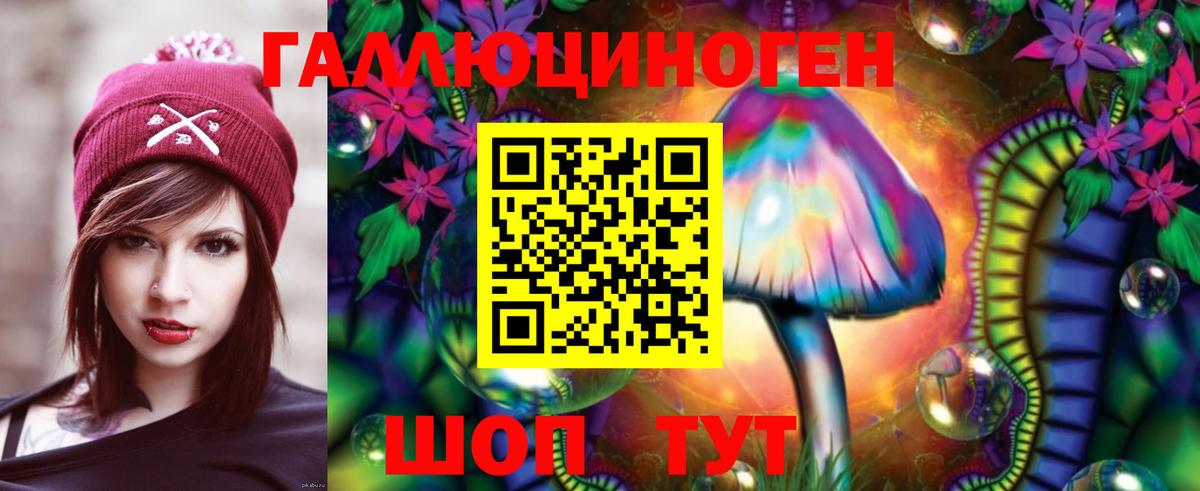 Псилоцибиновые грибы Cubensis Муром